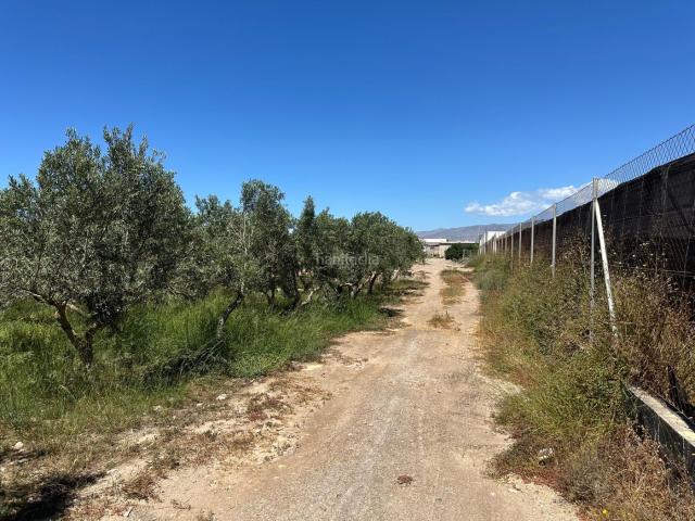 Masía en venta en Níjar, San Isidro Campohermoso. Cortijo rústico en Níjar con terreno y almacén. Masías.
