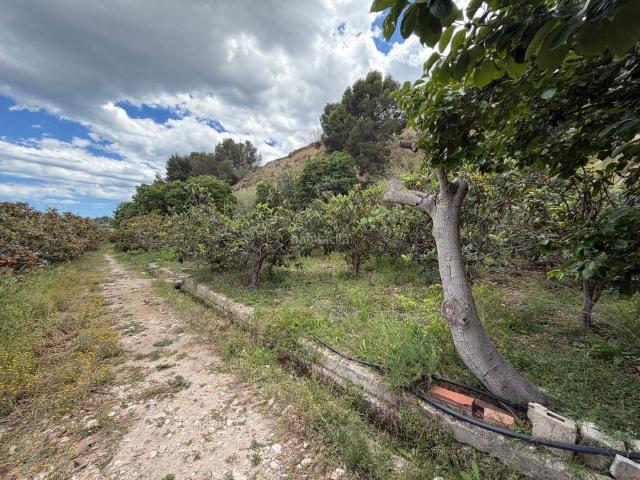 Masía en venta en Nucia la, La Nucia Pueblo. Masías Nucia.