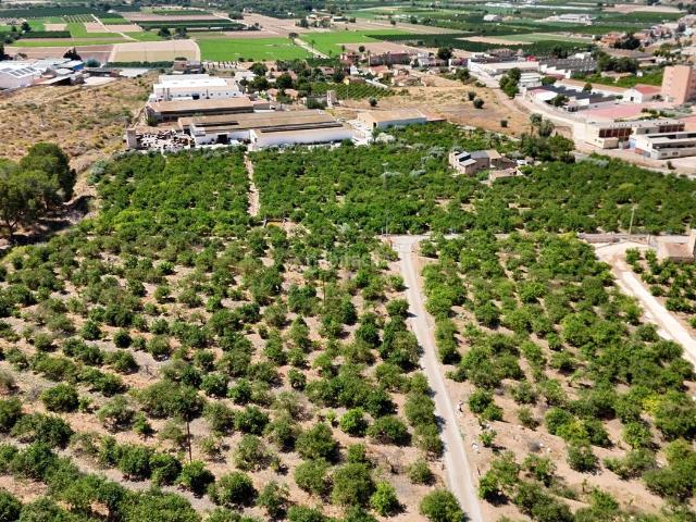 Masía en venta en Orihuela, Montepinar La Aparecida Raiguero. Masías.