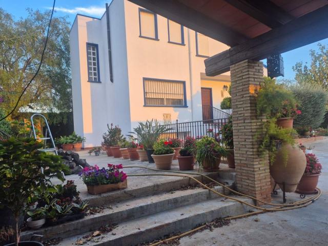Masía en venta en Orihuela, Orihuela Ciudad. Masías.