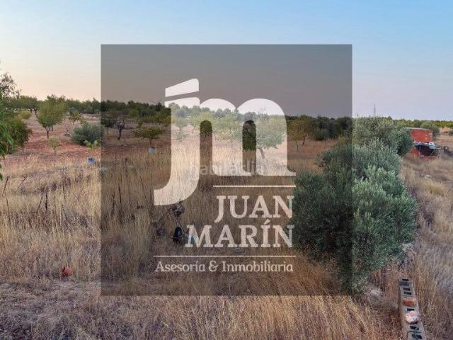 Masía en venta en Peñas de San Pedro. Espectacular finca rústica de 114.706 m² con vivienda, producción agrícola y múltiples posibilidades de negocio. Masías Peñas de San.
