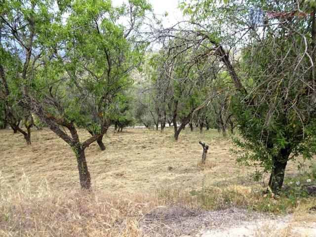 Masía en venta en Pinos Genil. Pinos GenilFinca Rustica. Masías Pinos.