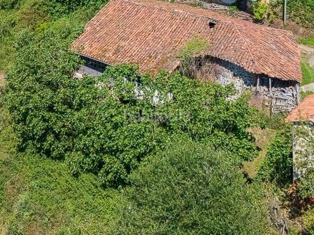 Masía en venta en Piloña. Ocasión única. Casa rural tradicional asturiana en Piloña en un entorno maravilloso. Masías.