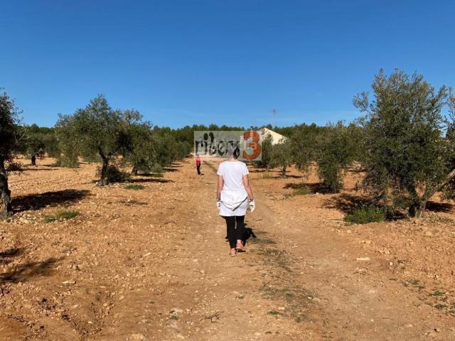 Masía en venta en Pozohondo. Finca Rúst. en venta en Pozohondo, 4 dormitorios. Masías.