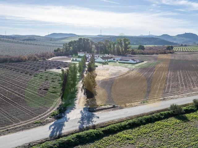 Masía en venta en Puebla de Cazalla La. Cortijo Andaluz en Plena Campiña Sevillana. Masías Puebla de Cazalla.
