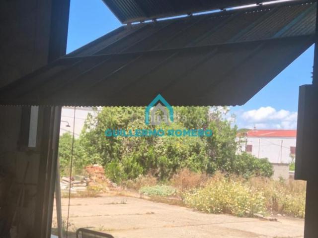 Masía en venta en Puebla del Río La. Fantástica parcela de 3.200 m con vivienda, nave. Masías Puebla del Río.