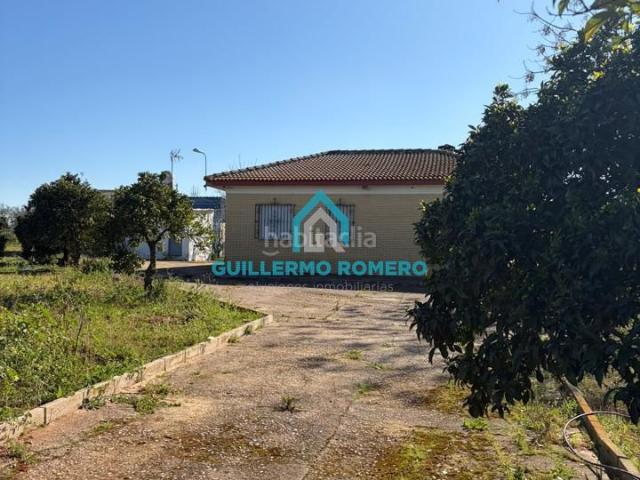 Masía en venta en Puebla del Río La. Magnífica parcela de 1 hectárea con vivienda. Masías Puebla del Río.