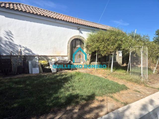 Masía en venta en Puebla del Río La. MAGNÍFICA PARCELA RÚSTICA EN LA PILARICA. Masías Puebla del Río.