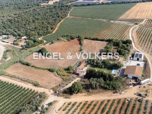 Masía en venta en Puerto Real, El Almedral. Exclusiva Finca con Gran Potencial en Puerto Real, Ideal para Proyecto Residencial, Turístico o Agrícola y cerca de la costa gadi. Masías Puerto.
