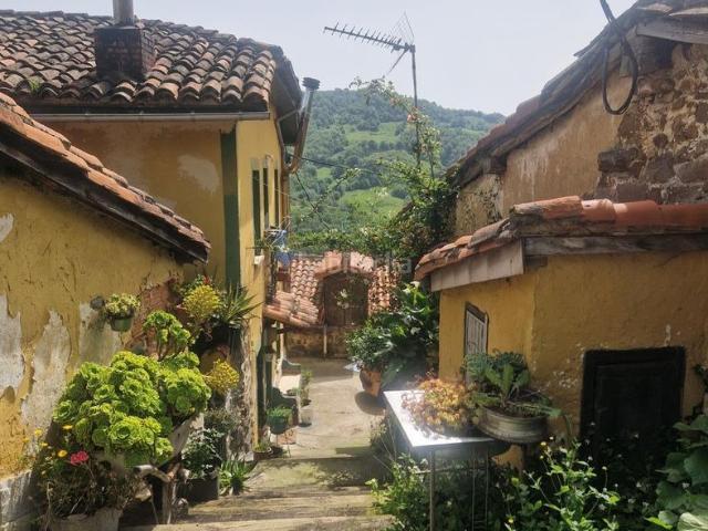 Masía en venta en Riosa. CASA DE PUEBLO.RIOSA,ASTURIAS. Masías.