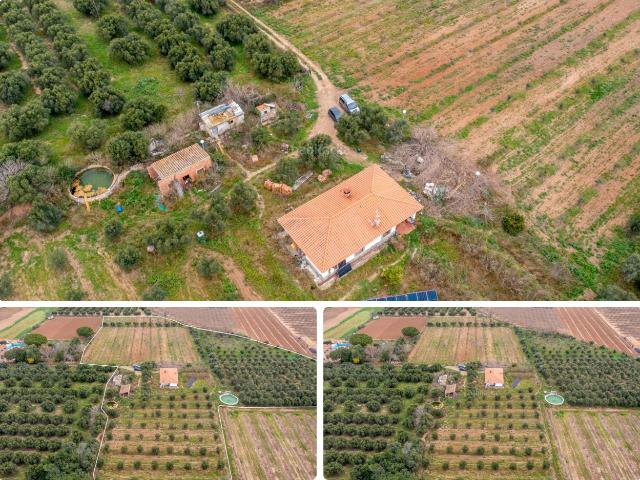 Masía en venta en Riudoms. Espectacular finca rústica en Riudoms. Masías.