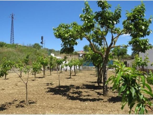 Masía en venta en Ronda, Partidas Norte. Casa de campo rehabilitada. Masías.