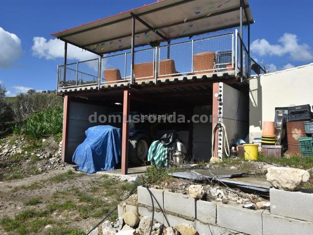 Masía en venta en Ronda, Partidas Norte. Casa de campo con piscina y 5 hectáreas de olivar. Masías.