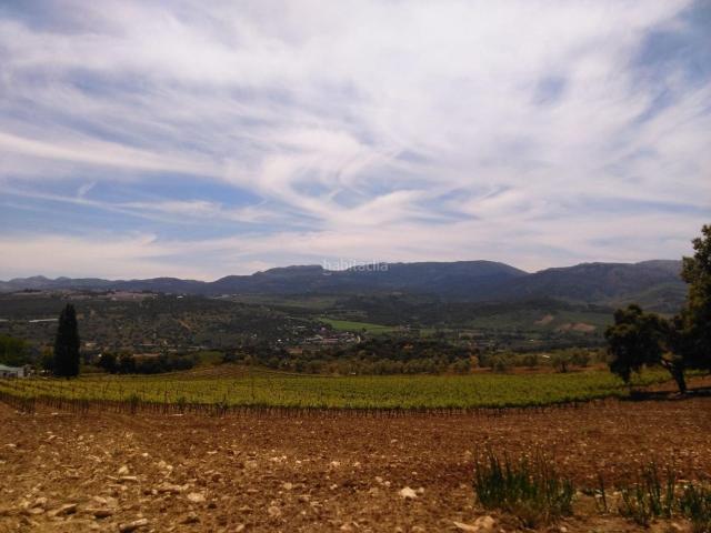 Masía en venta en Ronda, Partidas Norte. Finca de viñedos. Masías.