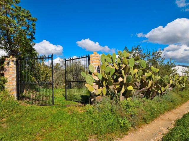 Masía en venta en Ronda, San Cristóbal. ¡Descubre tu refugio en la naturaleza!. Masías.