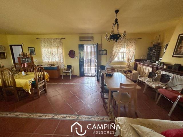 Masía en venta en Rociana del Condado. Casa de campo entre Bonares y Rociana. Masías Rociana del.