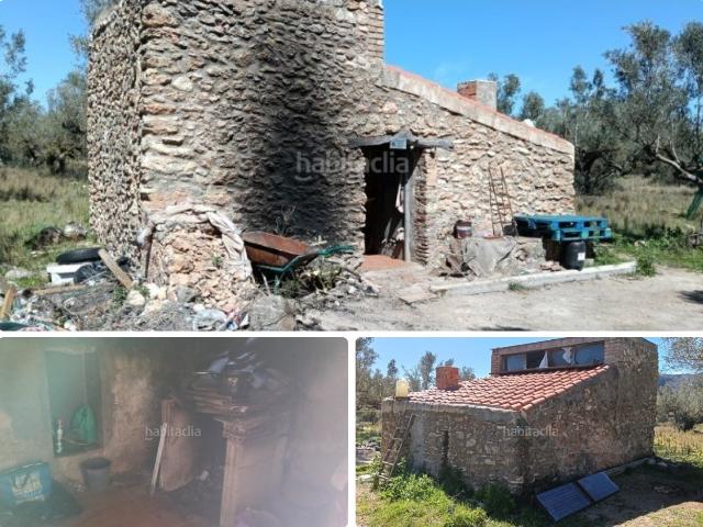 Masía en venta en Roquetes Costa Dorada. FINCA DE OLIVOS CON CASA RUSTICA DE PIEDRA. Masías.