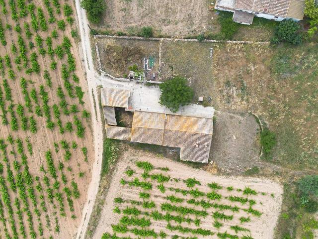 Masía en venta en Sant Martí Sarroca. Finca Rústica con Masía para Rehabilitar y Viñedos Propios. Masías Sant Martí.