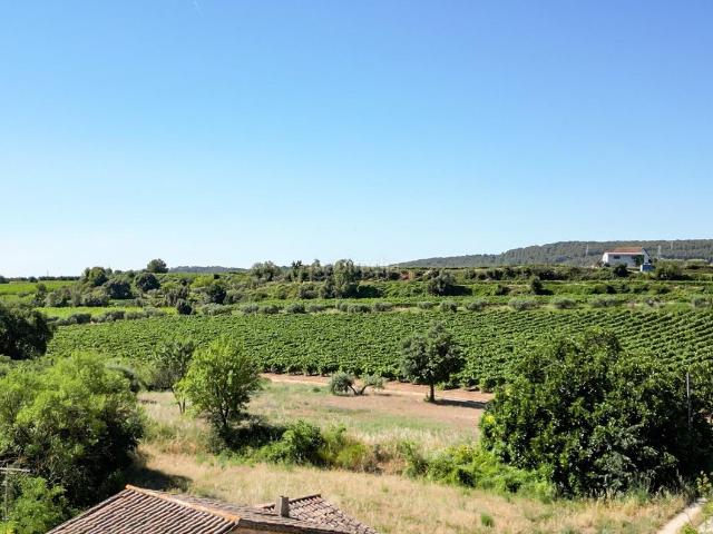 Masía en venta en Sant Martí Sarroca. Residencia señorial con jardín y terrazas cerca del centro de Sant Martí Sarroca. Masías Sant Martí.