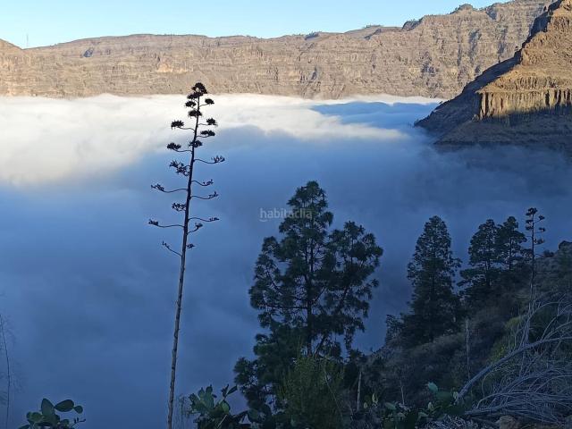 Masía en venta en San Bartolomé de Tirajana, San Bartolomé Interior. Finca rústica con vivienda, segunda edificación y 17.000 m2 de terreno en Lomo de Pedro Afonso La Hoya, Gran Canaria. Masías San.