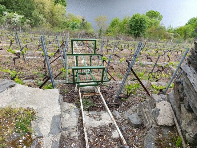Masía en venta en Saviñao O. BODEGA CON VIÑEDO EN O SAVIÑAO. Masías Saviñao.