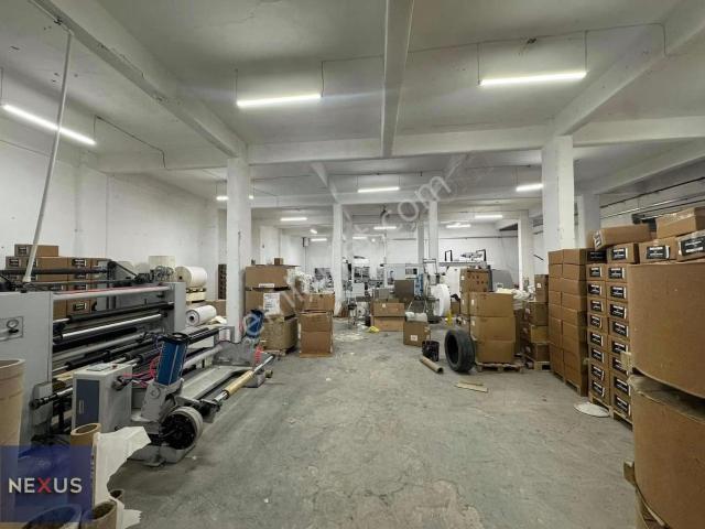 Masrafsız 700 M2 Düz Girişli Depo