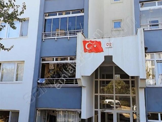 Masrafsız Temiz Daire