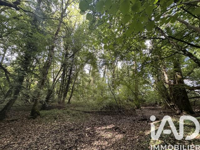 Massay Vente Terrain 18