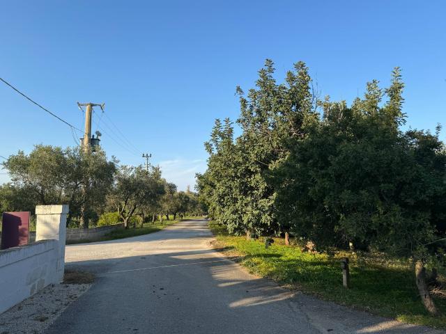 Masseria in vendita a Ostuni