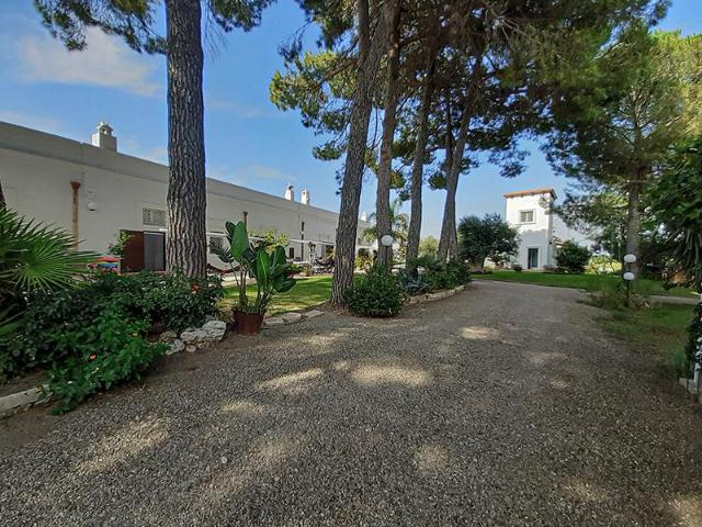 Masseria Puglia redditizia con attività agroturistica, agric. 450m² Marina di Ginosa