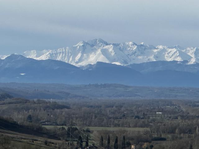 Masseube Vente Propriété/château 32