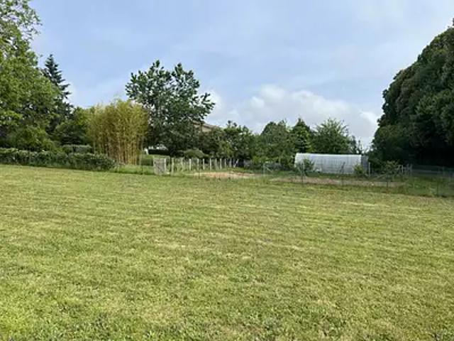 Massignac 16310 Achat / Vente terrain