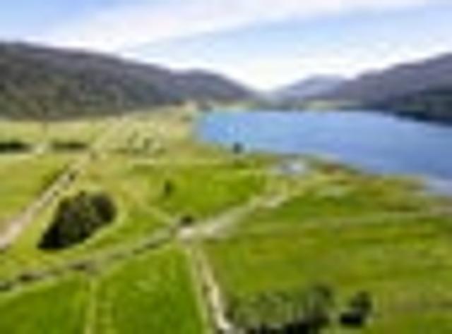 20ha of Lakefront, Lake Poerua, Inchbonnie