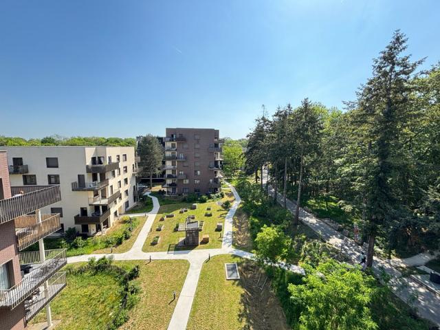 Massy Vente Appartement 91