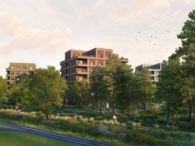 Massy Vente Appartement 91