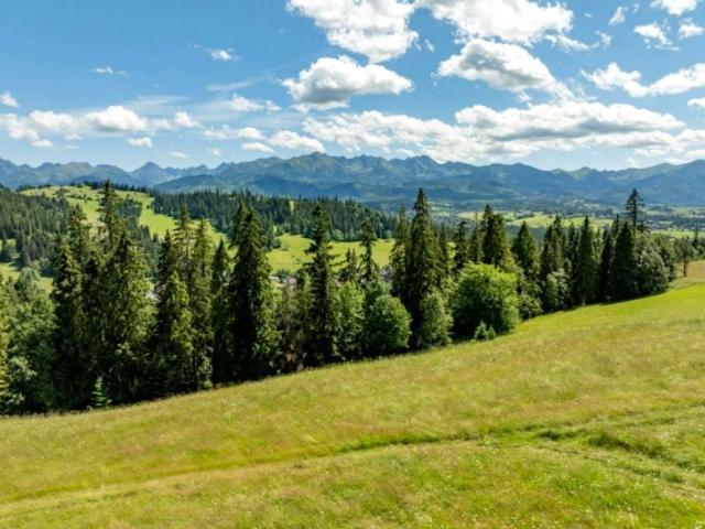 Matygówka 1 467 m², Gliczarów Górny