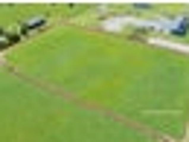 Matamata Lifestyle Section