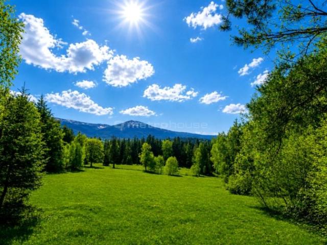 Matejki 10 313 m², Szklarska Poręba