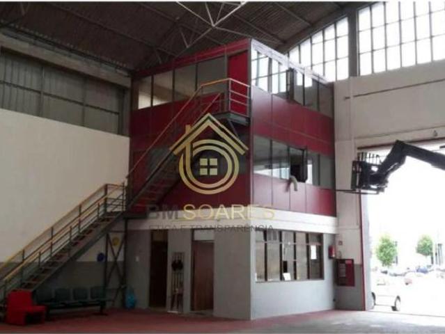 Matosinhos Matosinhos 102742563