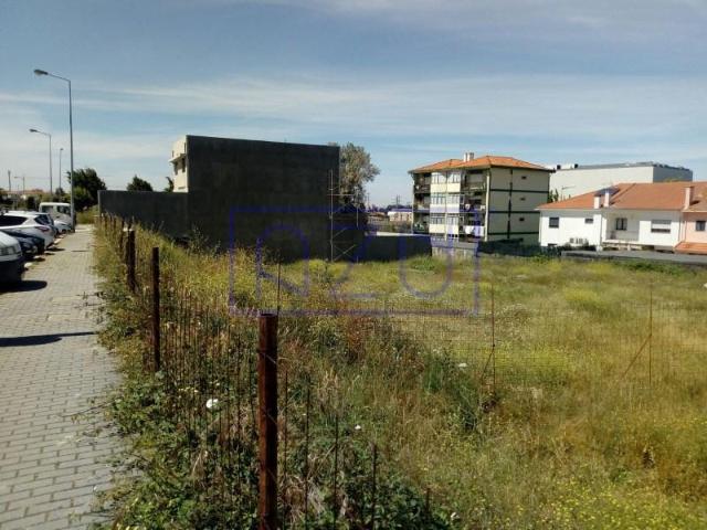 Matosinhos Matosinhos 103366508