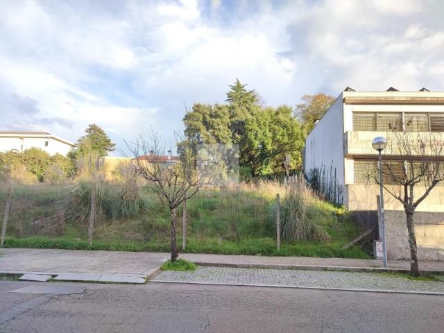 Matosinhos Matosinhos 97118739