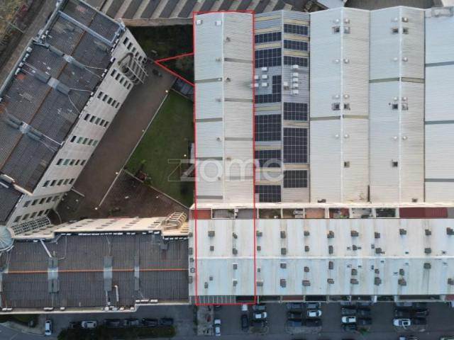 Matosinhos Matosinhos 98712462