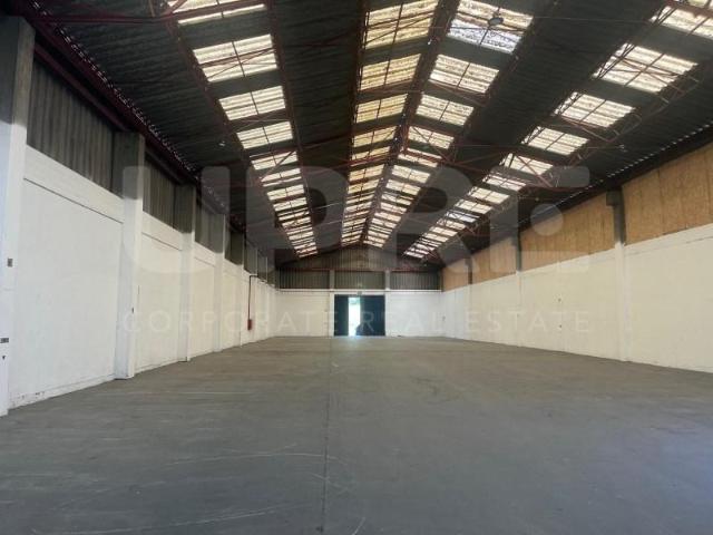 Matosinhos Matosinhos LS101564386