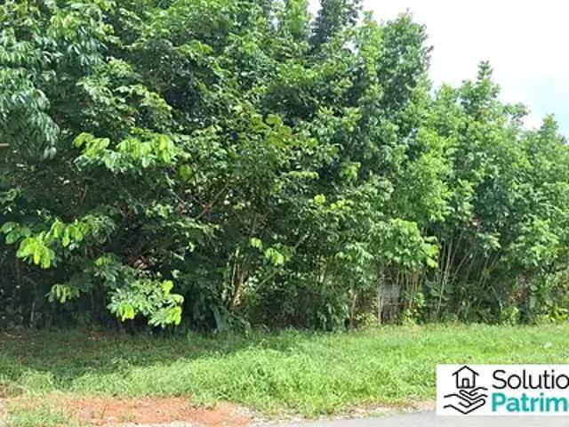 Matoury 97351 Achat / Vente terrain