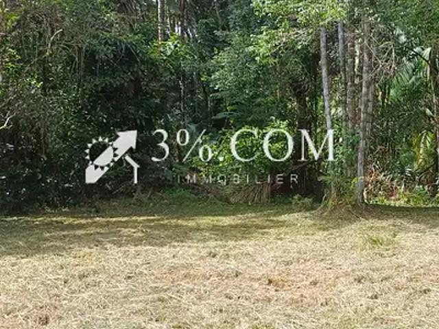 Matoury 97351 Achat / Vente terrain