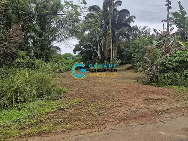 Matoury 97351 Achat / Vente terrain