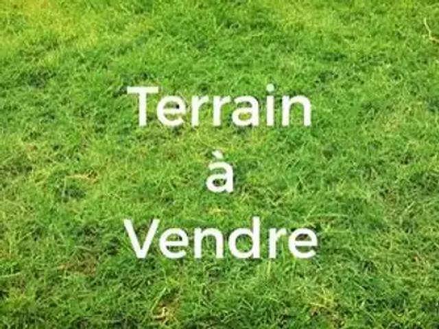 Mauves sur Loire 44470 Achat / Vente terrain
