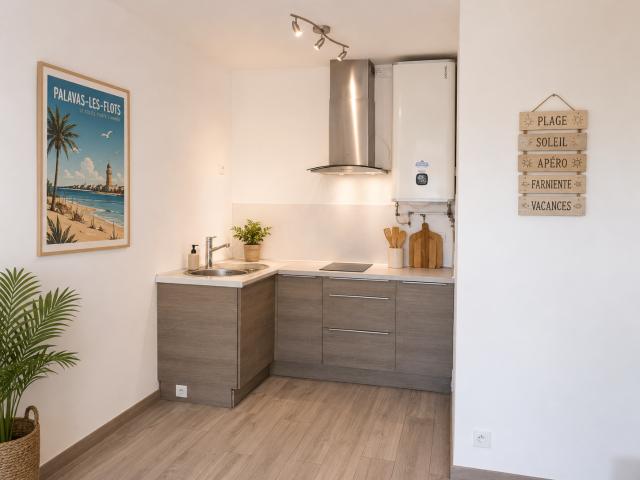 Mauguio Carnon Plage Vente Appartement 34