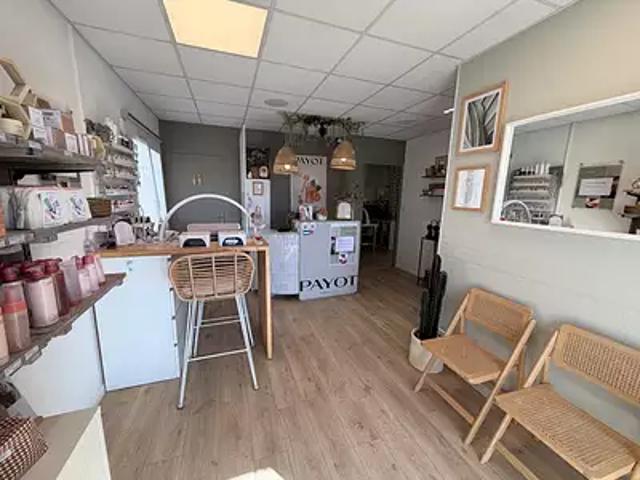 Mauguio 34130 Achat / Vente divers
