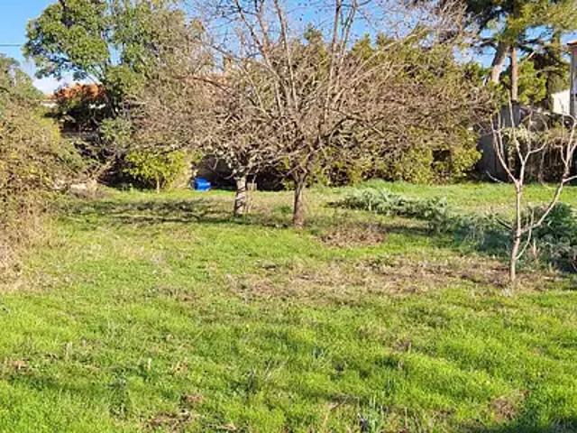 Mauguio 34130 Achat / Vente terrain